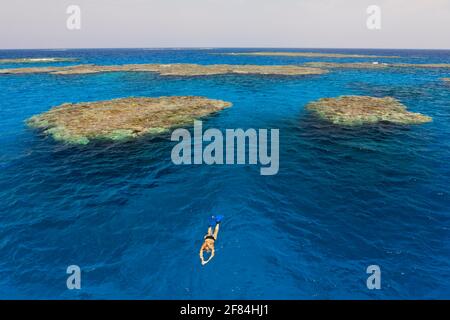 Riffe in der Nähe von Zabargad, Rotes Meer, Ägypten Stockfoto