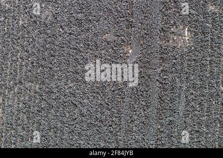Dunkles Brett. Holzhintergrund. Ein abstraktes Muster. Graue Holzstruktur. Stockfoto