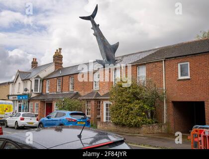 Shark House Oxford Stockfoto