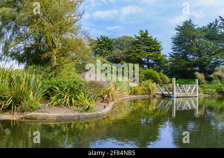 Landscape scene of greenery and a wooden viewing platform by a small lake in Summer in Mewsbrook Park, Littlehampton, West Sussex, England, UK. Stockfoto