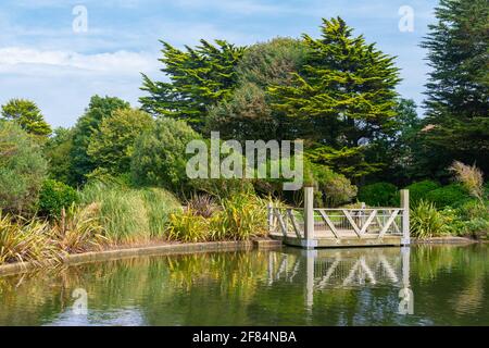Landscape scene of greenery and a wooden viewing platform by a small lake in Summer in Mewsbrook Park, Littlehampton, West Sussex, England, UK. Stockfoto