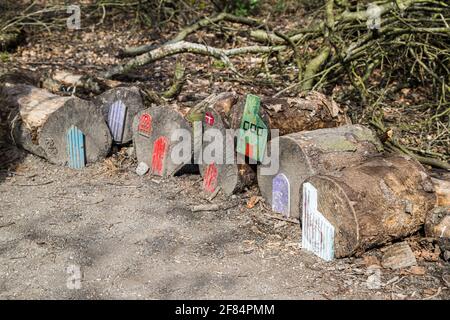 Eine Ansammlung von Feenhäusern, die auf dem Boden in einem verzauberten Wald in der Nähe von Wigan in Lancashire zu sehen sind. Stockfoto