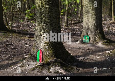 Türen zu Feenhäusern auf dem Boden eines verzauberten Waldes in der Nähe von Wigan in Lancashire. Stockfoto