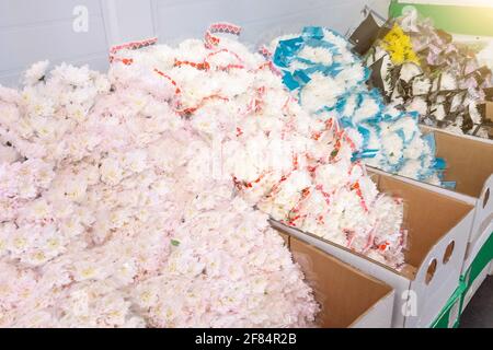 Boxen mit verschiedenen Sorten von Blumensträußen in der Großhandelslager des Pflanzen- und Blumenherstellers Stockfoto