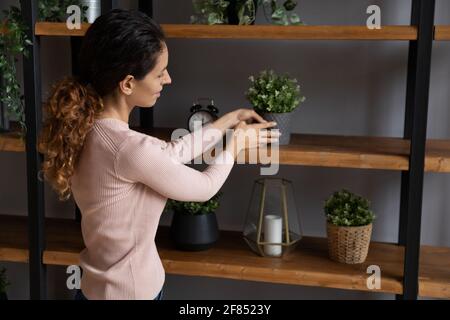 Lächelnde Frau ordnen Pflanzen auf Regal machen zu Hause fühlen sich gemütlich Stockfoto