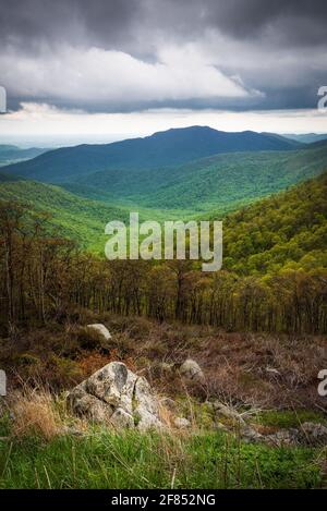 Stürmische Wolken über dem Old Rag Mountain im Frühling, während sich die frischen Grüns das Tal hinauf in höhere Höhen bewegen. Stockfoto