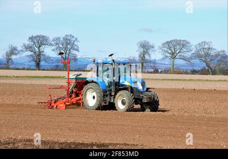 New Holland Traktor sät Getreideernte mit 1-Pass-Bohrer Unter einem blauen Himmel Stockfoto