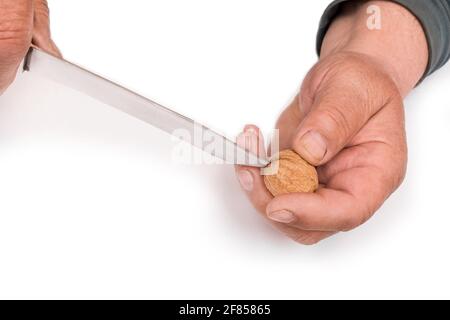 Hände eines älteren Mannes mit einem Messer, das in seiner Hand eine Walnuss auf einem weißen Hintergrund knackt, isoliert. Stockfoto