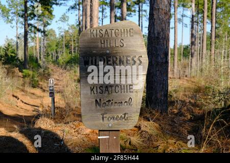 Dies ist ein Foto eines Wegzeichens auf dem Backbone Trail im Kisatchie National Forest in Louisiana. Stockfoto