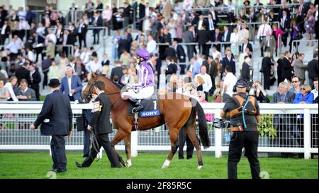 RENNEN IN ASCOT 27/9/2008. DIE PARADE VOR DER KÖNIGIN ELIZABETH 11 EINSÄTZE. BILD DAVID ASHDOWN Stockfoto