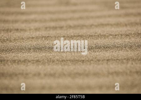 Sandformationen, die wie Dünen aussehen Stockfoto