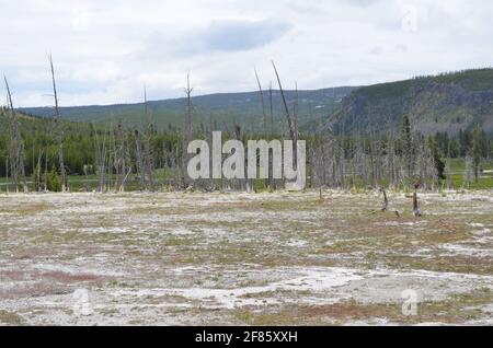 Spätfrühling in Yellowstone: Blick südwestlich vom Biscuit Basin im Upper Geyser Basin über den Little Firehole River zum Madison Plateau Stockfoto