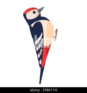 Specht-Vogel. Flaches Cartoon-Figuren-Design. Farbenfrohes Vogelsymbol. Vektordarstellung auf weißem Hintergrund isoliert Stock Vektor