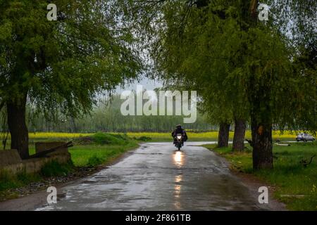 Ein Motorradfahrer fährt während der Regenfälle am Stadtrand von Srinagar entlang einer Straße. Stockfoto