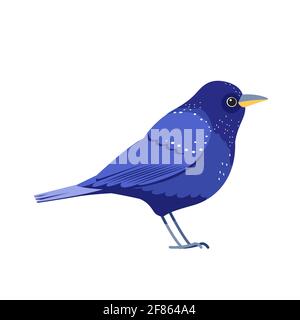 Blauer Vogel oder violette Drossel, Seitenprofil. Cartoon, flache Vektorgrafik isoliert auf weißem Hintergrund Stock Vektor