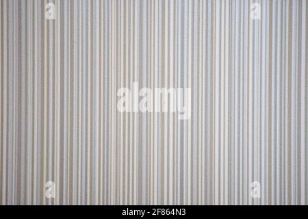Gebleichten Bambus, naturgraue Holzoberfläche mit vertikalen Streifen. Hintergrund, Muster, Textur. Stockfoto