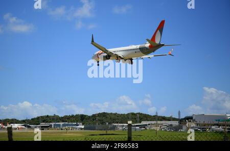 salvador, bahia, brasilien - 17. januar 2021: Boeing 737 MAX 8 PR-MXD, Flugzeug der Firma Gol Linhas Aereas bei der Landung auf der Landebahn Stockfoto