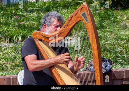 Frederick, MD, USA 04-07-2021: Nahaufnahme eines Straßenmusikers, der auf dem Bürgersteig mit seiner Harfe auftrat. Der Busker sitzt auf einem klappbaren Stuhl Stockfoto