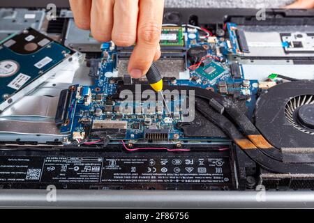 Clarksburg, MD, USA 04-07-2021: Ein Computertechniker repariert einen alten Laptop mit einem Schraubendreher. Nahaufnahme Einzelbild mit komplexer Innenausstattung Stockfoto