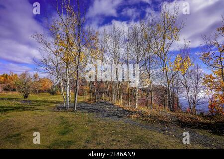 Herbstliche Bäume und Wolken im Black Beach Park auf Das Ufer des Lake Superior im Norden von Minnesota Stockfoto