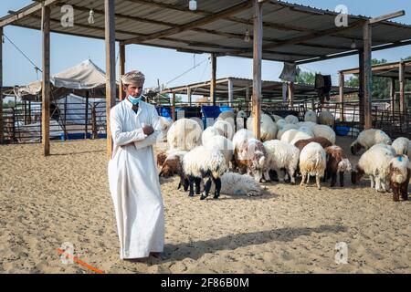 Dammam, Saudi-Arabien - 02-April-2021. Junger erwachsener Mann mit seinen Ziegen auf ihrer Rinderfarm. Stockfoto