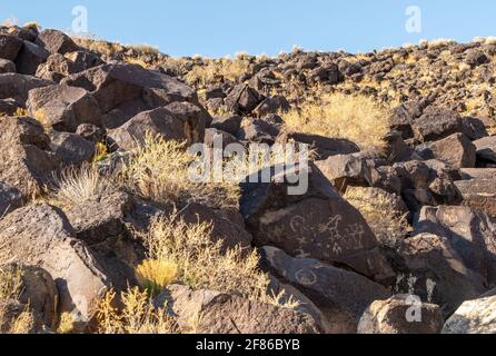 Uralte Felsenkunst der Ureinwohner Amerikas im Petroglyph National Monument, Albuquerque, New Mexico Stockfoto