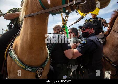 Los Angeles, Kalifornien, USA. April 2021. Ein Mann wird von der Polizei von Huntington Beach auf der anderen Straßenseite vom Pier verhaftet, wo ein paar hundert Menschen auftauchten, um gegen eine geplante Kundgebung zu protestieren. Es gab mehrere andere Verhaftungen. Orange County Sheriffs auf dem Pferderücken waren ebenfalls anwesend. Quelle: Jill Connelly/ZUMA Wire/Alamy Live News Stockfoto