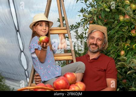 Konzept Für Gesunde Ernährung. Vater und Tochter pflücken Äpfel in einem Obstgarten. Familie Ernte Früchte im Herbst. Stockfoto