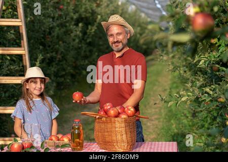 Konzept Für Gesunde Ernährung. Vater und Tochter pflücken Äpfel in einem Obstgarten. Familie Ernte Früchte im Herbst. Stockfoto