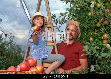 Vater und Tochter pflücken Äpfel in einem Obstgarten. Niedliches Kleines Mädchen, Das Roten Apfel Gibt. Konzept Für Gesunde Ernährung. Stockfoto