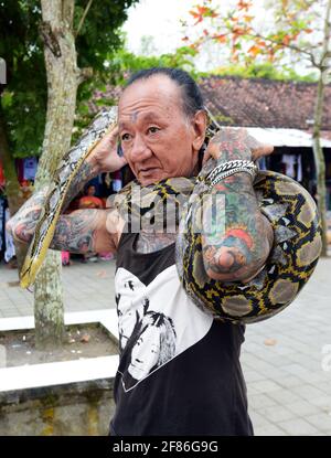 Ein tätowierte balinesischer Mann mit seiner Python um seinen Körper gewickelt. Stockfoto