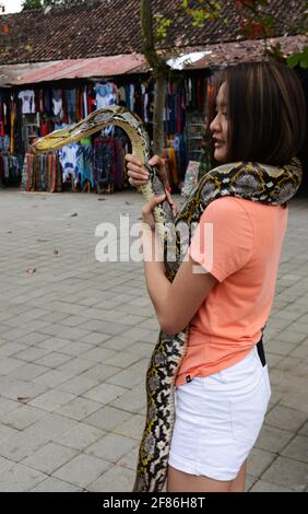 Eine asiatische Frau, die eine Python in der Hand hält. Stockfoto