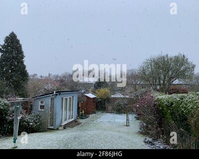 In einem Garten in Maidenhead, Bekshire, lässt sich leicht Schnee stauben. Pub-Besucher müssen sich am Montag warm einhüllen, da für den ersten Tag der Wiedereröffnung von Gastfreundlichkeit im Freien in England kühle Temperaturen prognostiziert werden. Bilddatum: Montag, 12. April 2021. Stockfoto