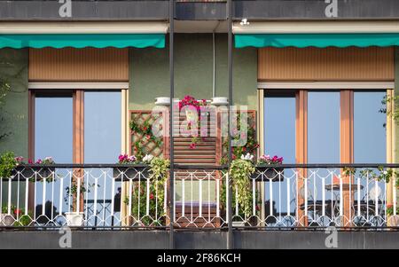 Schöne sonnige Terrasse mit vielen bunten Blumen im Frühling.Mailand, Lombardei, Italien. Stockfoto