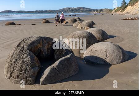 Moeraki Boulders, Moeraki, Neuseeland, 1. April 2021 - die Moeraki Boulders sind ungewöhnlich große und kugelförmige Felsbrocken, die entlang eines Teiles des Koekohe Beach an der wellendurchschnitteten Küste von Otago in Neuseeland zwischen Moeraki und Hampden liegen. Sie treten entweder als isolierte oder als Blöcke von Felsbrocken auf einem Strandabschnitt auf, wo sie in einem wissenschaftlichen Reservat geschützt wurden. Foto zeigt Touristen, die die Felsbrocken studieren. Kredit: Rob Taggart/Alamy Stockfoto