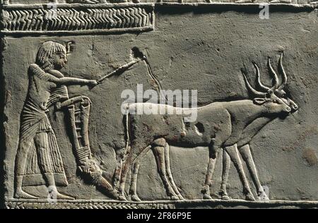 6806. Pflügeszene, Relief aus Horemheb-Grab, 1333-1323 v. Chr., Saqqarah, Ägypten. Stockfoto