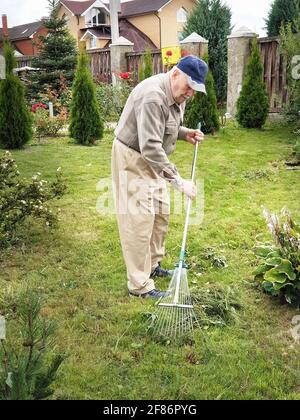 Ein älterer Mann von 80 Jahren arbeitet im Garten. Der Gärtner reckt das gemähte Gras mit einem Rechen. Aktives Alter. Arbeiten im Garten in Quarantäne in der c Stockfoto