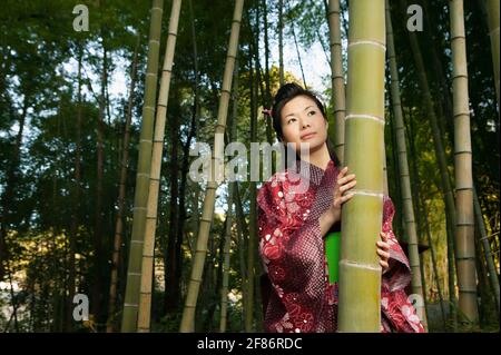 Portrait schöne neugierige junge Frau in japanischem Kimono zwischen Bambus Bäume Stockfoto