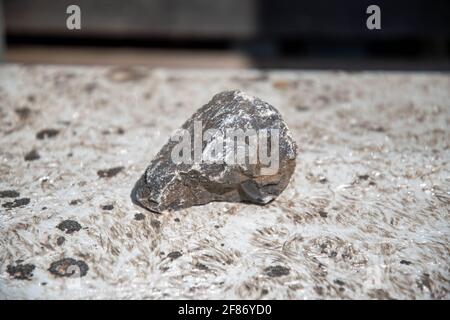 Grauer Granitstein liegt aus nächster Nähe auf dem Boden Stockfoto