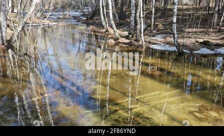 Frühlingsflut - ein kleiner Fluss überfloss aus schmelzendem Schnee im Wald. Stockfoto