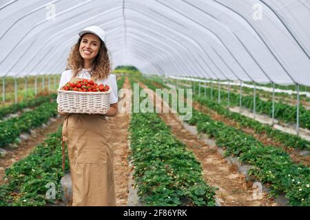 Vorderansicht einer niedlichen Frau mit weißer Mütze und Schürze, die einen großen Korb mit Erdbeeren hält. Die lockige Brünette erntete Erdbeeren im Gewächshaus und lächelte. Konzept der Kommissionierung. Stockfoto