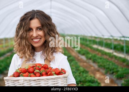 Nahaufnahme einer schönen Frau, die einen weißen Korb mit Erdbeeren hält und lächelt. Lockige Brünette geerntet Erdbeeren im Gewächshaus . Konzept des Wachstums. Stockfoto