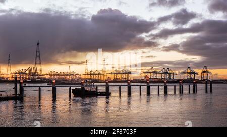 Industrielandschaft bei farbenfrohem Sonnenuntergang mit Pier und Container-Terminal im Hintergrund, Hafen von Antwerpen. Stockfoto