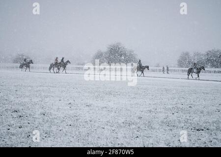 Epsom Downs, Großbritannien. April 2021. Rennpferde trainieren im Schnee, der heute Morgen über die Surrey Hills fiel. Quelle: Edward Webb/Alamy Live News Stockfoto