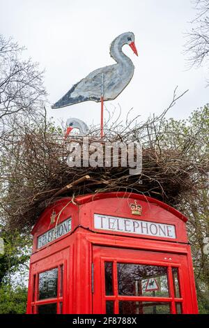 Rote Telefonbox, die zu Ostern mit einem künstlichen Störche-Nest auf der Oberseite dekoriert ist, Compton Village, Surrey, England, Großbritannien Stockfoto