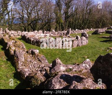 Ruinen von DIN Lligwy Ancient Village of enclosed Roman Hut Gruppen Lligwy Isle of Anglesey North Wales Stockfoto