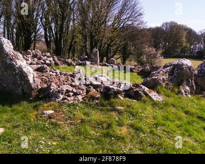 Ruinen von DIN Lligwy Ancient Village of enclosed Roman Hut Gruppen Lligwy Isle of Anglesey North Wales Stockfoto