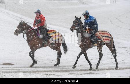 Epsom Downs, Großbritannien. April 2021. Rennpferde von Jim Boyles Hof in Epsom Zug im Schnee auf Epsom Downs. Quelle: Nigel Bramley/Alamy Live News Stockfoto