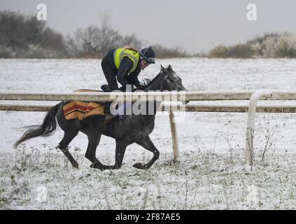 Epsom Downs, Großbritannien. April 2021. Rennpferde trainieren im Schnee auf Epsom Downs. Quelle: Nigel Bramley/Alamy Live News Stockfoto