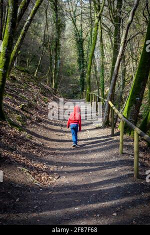 Die besten Wanderungen in Devon, die besten Wanderungen in Devon, teign Valley, landschaftlich schöner Wander- oder Wanderweg, Wälder, Flüsse und sanfte und sanfte Hügel. Stockfoto